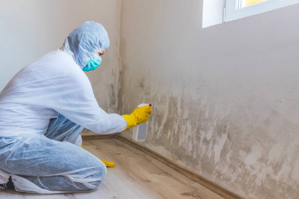 Bathroom Mold Removal assessment in Brandenburg bathroom