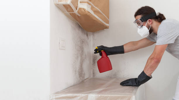 Attic Mold Remediation treatment on roof deck in Brandenburg